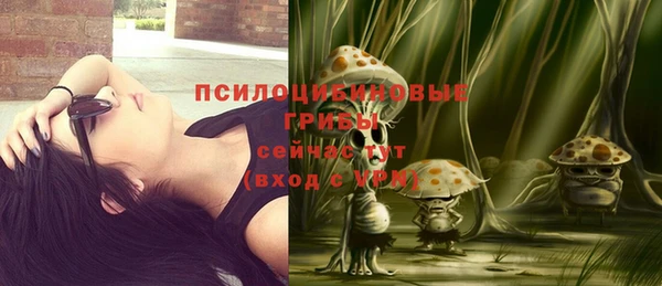 МДМА Бородино